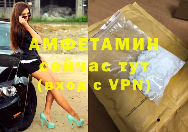 дживик Абаза